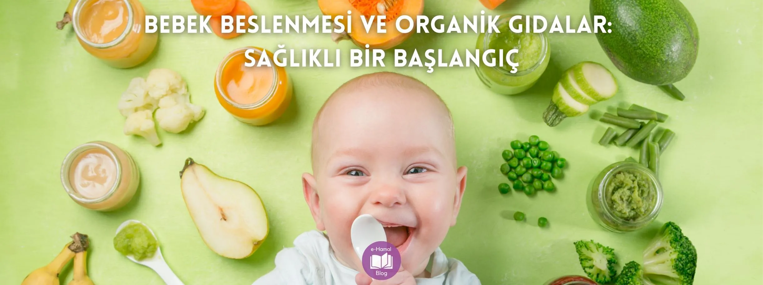 Bebek Beslenmesi Ve Organik Gıdalar: Sağlıklı Bir Başlangıç