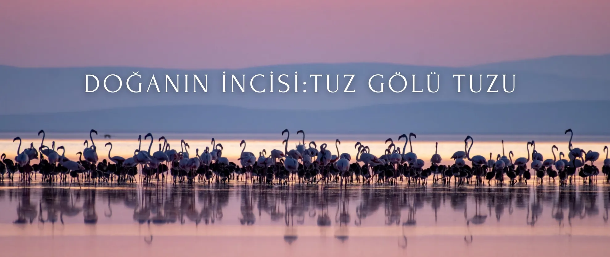 Doğanın İncisi: Tuz Gölü Tuzu